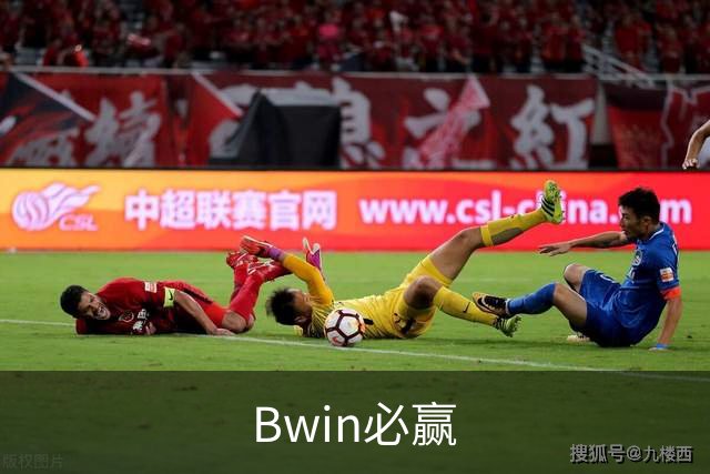 Bwin必赢公司简介图片